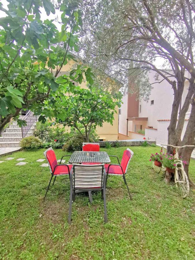 Apartments Andrea Kotor Extérieur photo